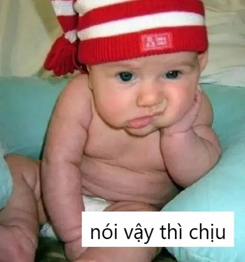 Meme Phải Chịu