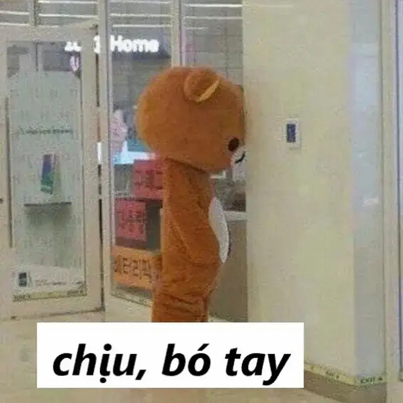 Meme Phải Chịu
