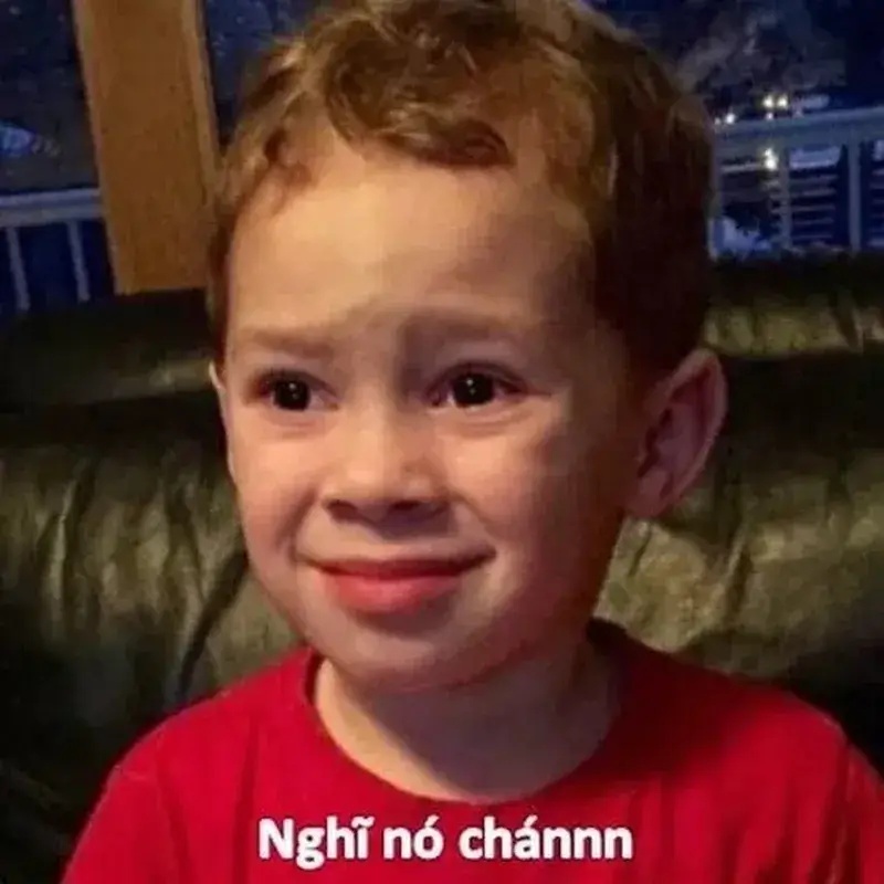 Meme Phải Chịu