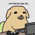 Meme Phải Chịu