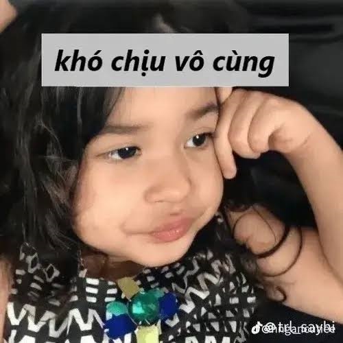 Meme Phải Chịu