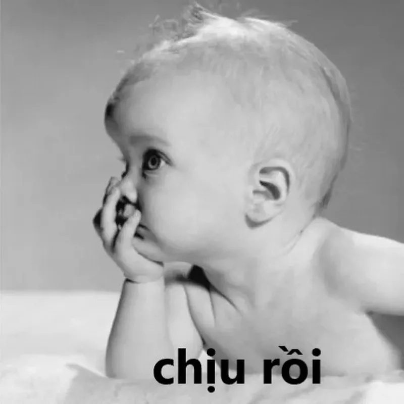 Meme Phải Chịu