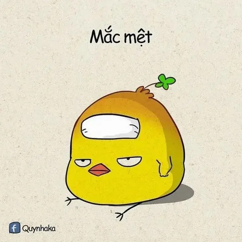 Meme Phải Chịu