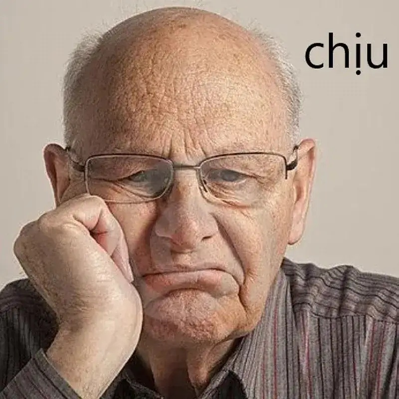 Meme Phải Chịu