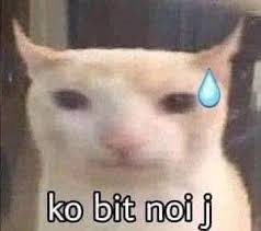 Meme Phải Chịu