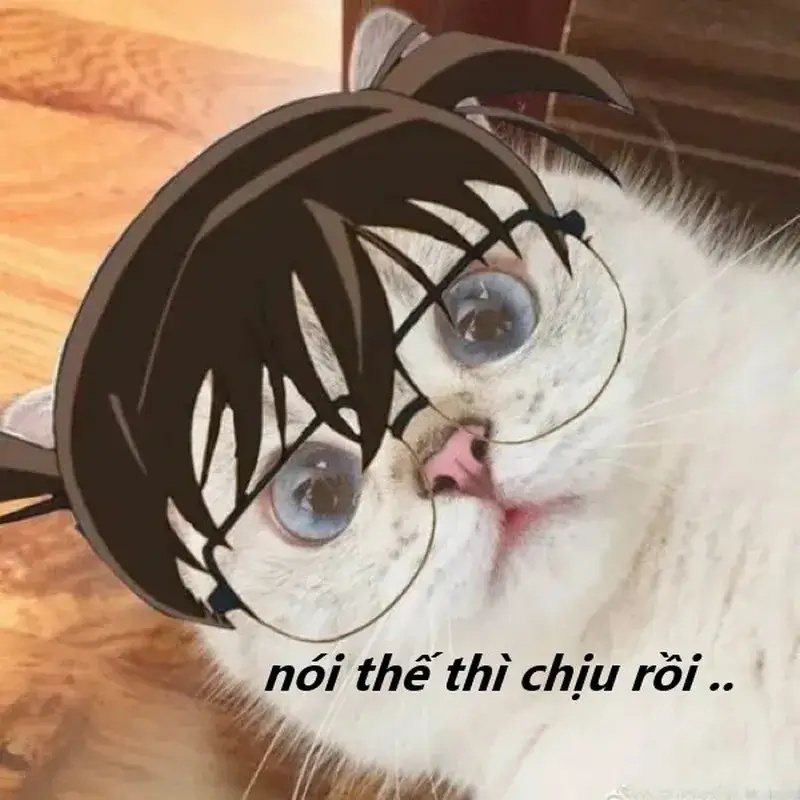 Meme Phải Chịu