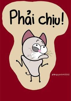 Meme Phải Chịu