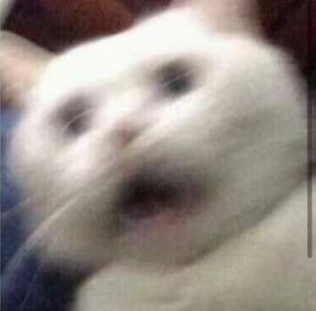Meme Sợ Hãi