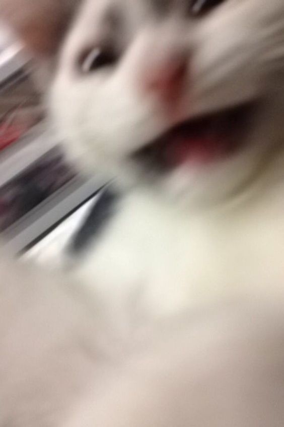 Meme Sợ Hãi