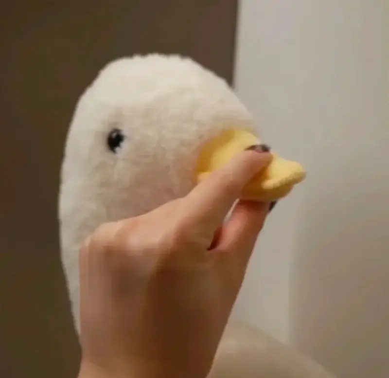Meme suỵt