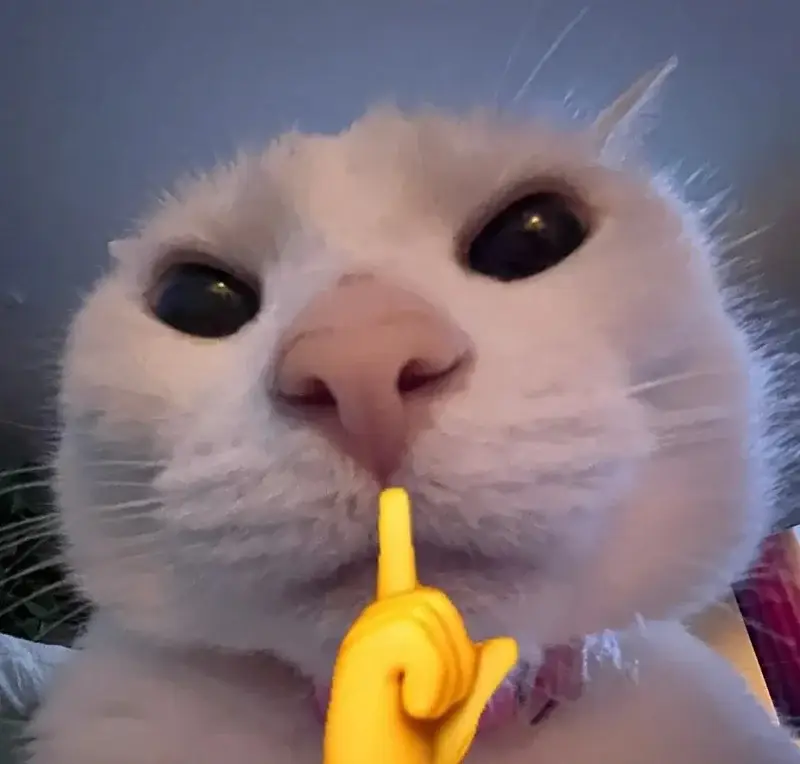Meme suỵt