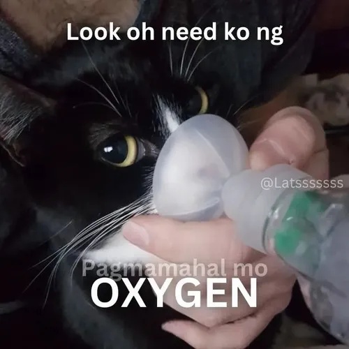 Meme Thở Oxy