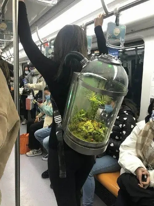 Meme Thở Oxy