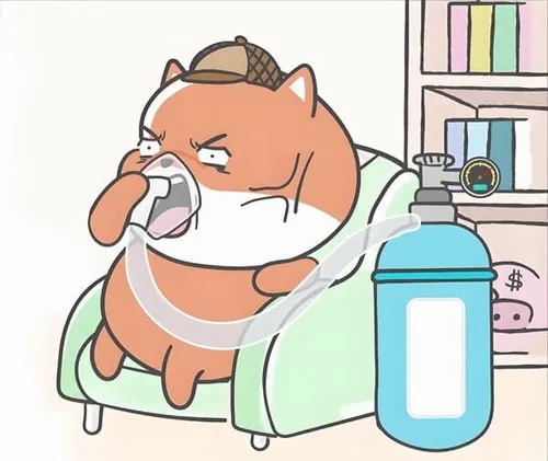 Meme Thở Oxy