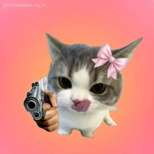 Meme mèo cầm súng