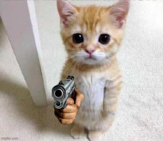 Meme mèo cầm súng