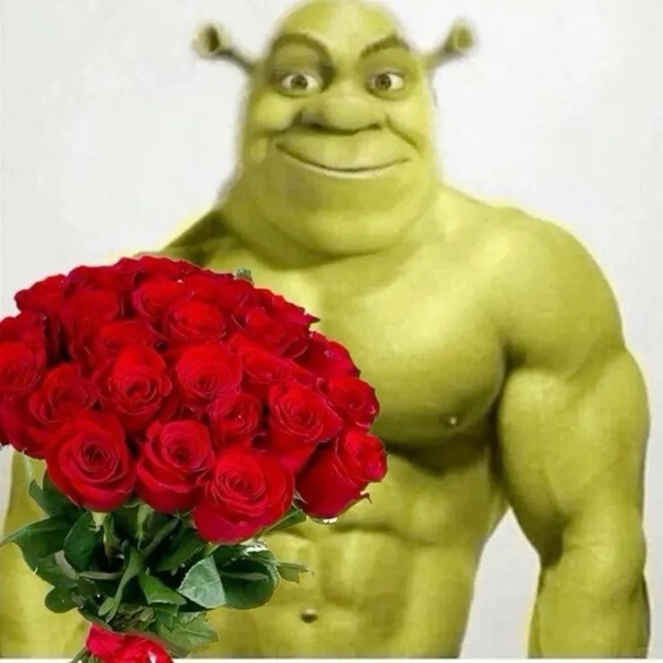 shrek meme