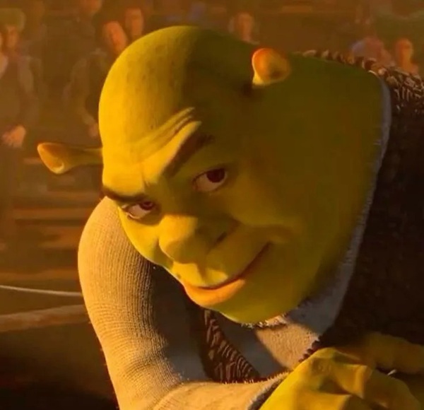 shrek meme