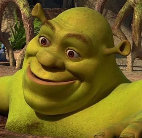 shrek meme