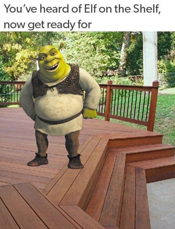 shrek meme