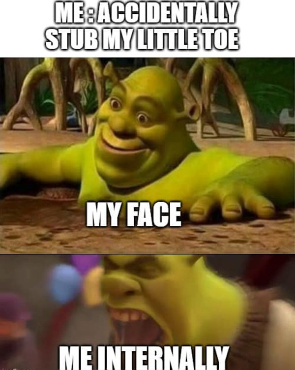 shrek meme