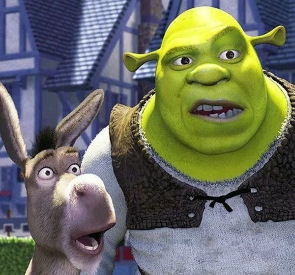 shrek meme