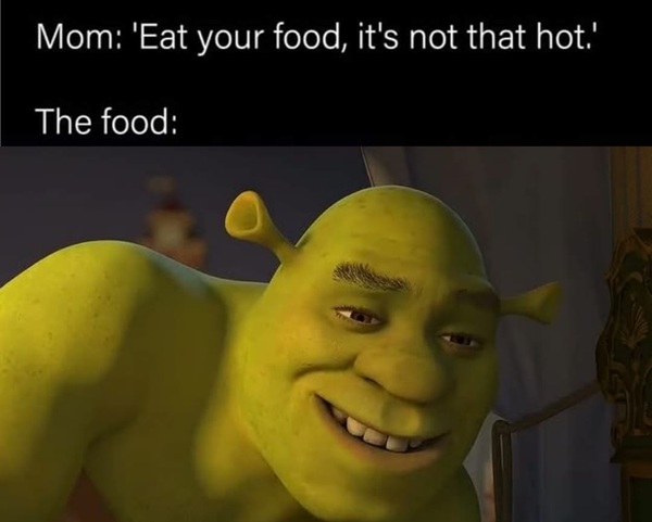 shrek meme