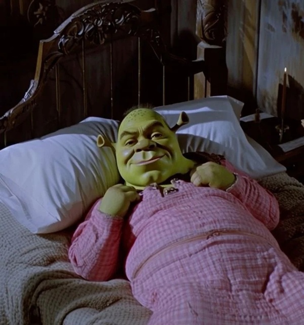 shrek meme