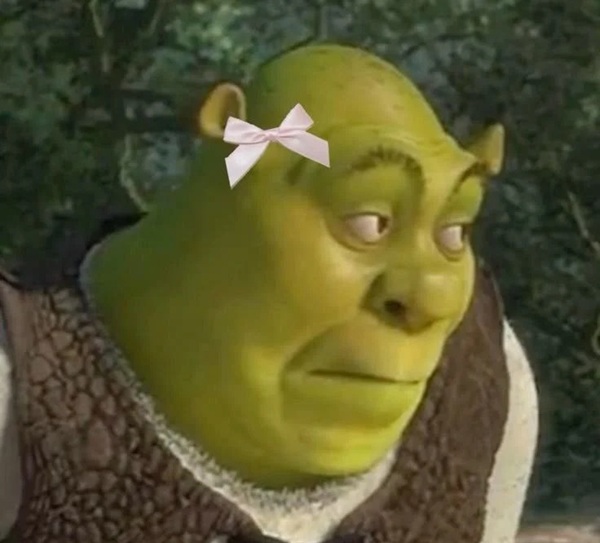 shrek meme