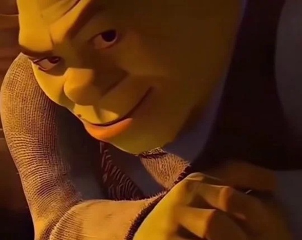 shrek meme