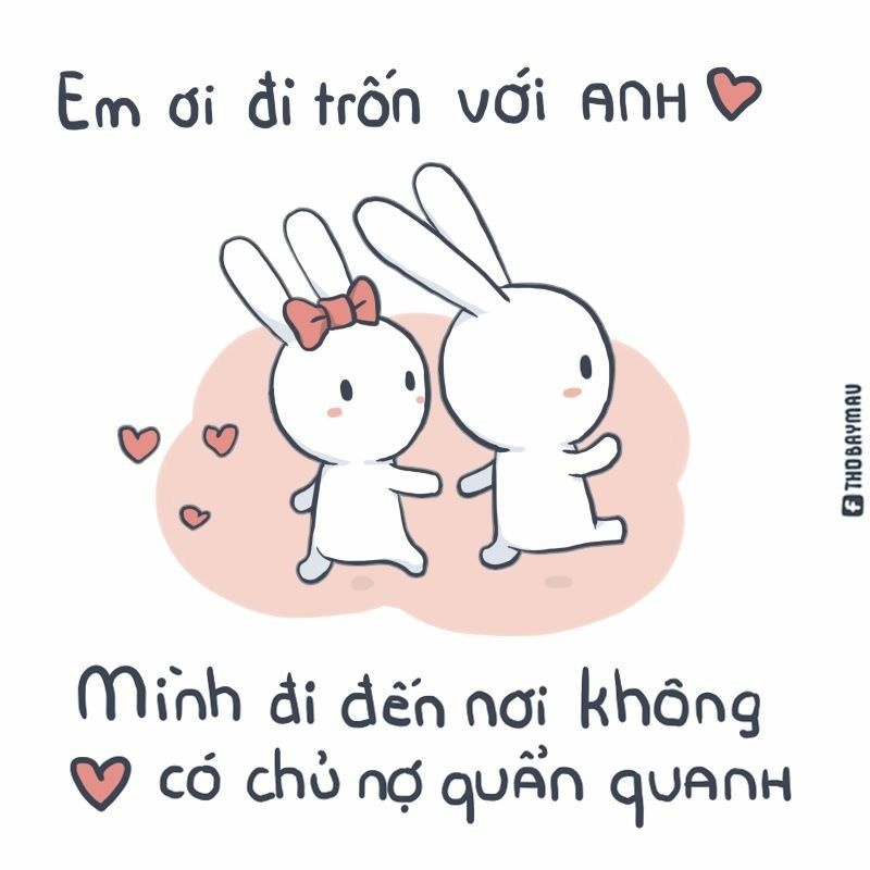 Meme thỏ 7 màu