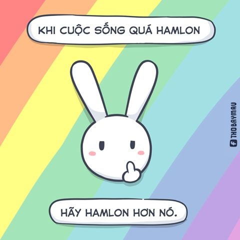 Meme thỏ 7 màu