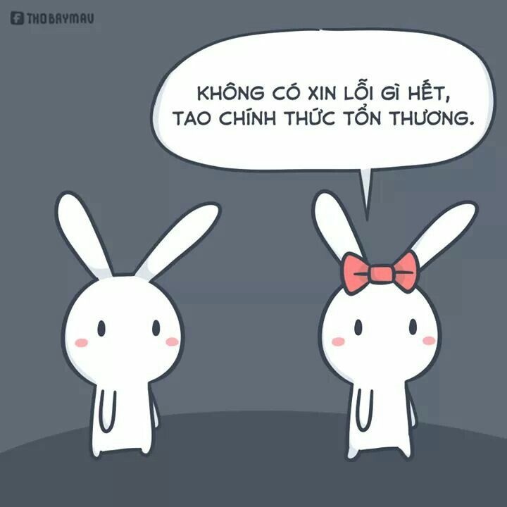 Meme thỏ 7 màu