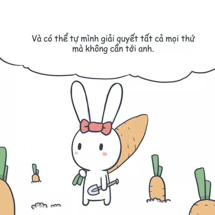 Meme thỏ 7 màu