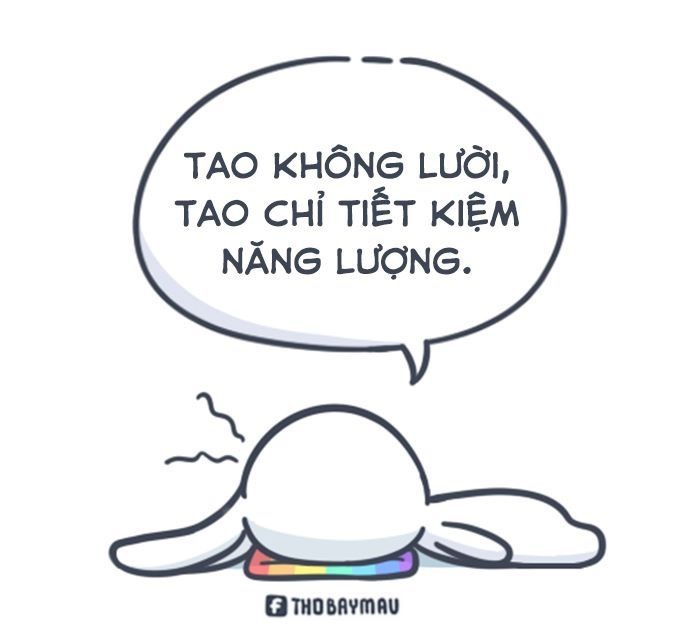 Meme thỏ 7 màu