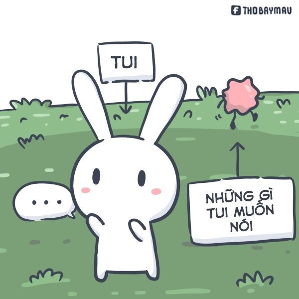 Meme thỏ 7 màu