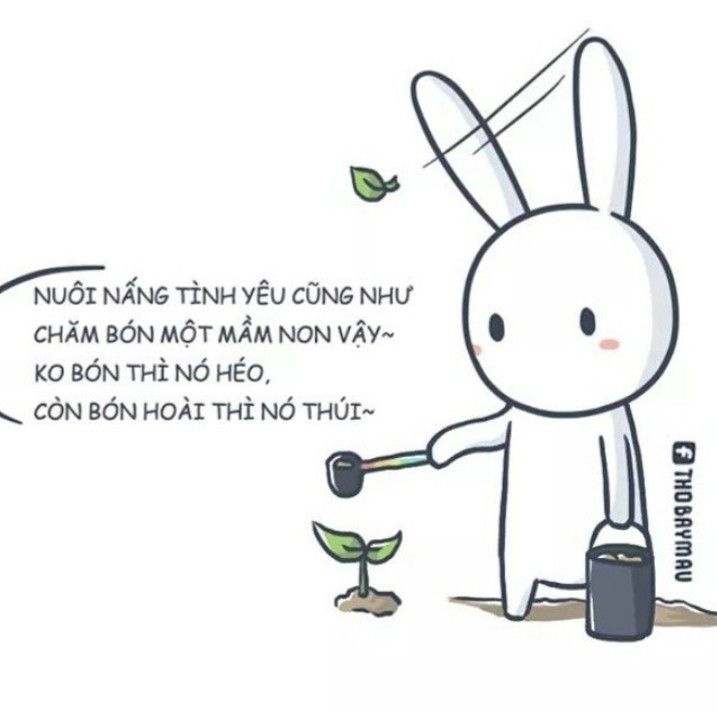 Meme thỏ 7 màu