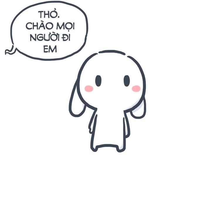 Meme thỏ 7 màu