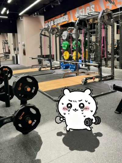 Chiikawa meme