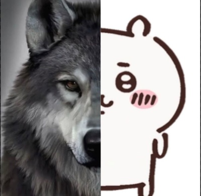 Chiikawa meme