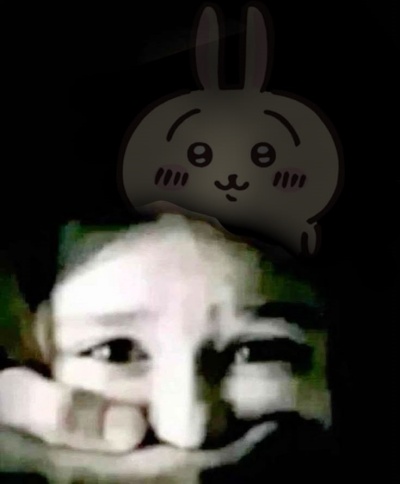 Chiikawa meme