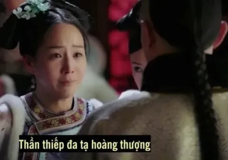 Đa Tạ Meme