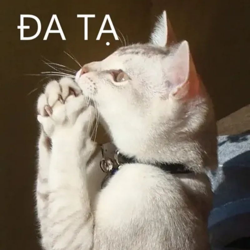 Đa Tạ Meme