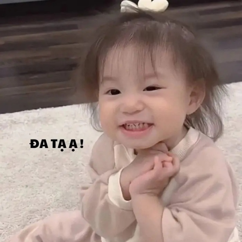 Đa Tạ Meme