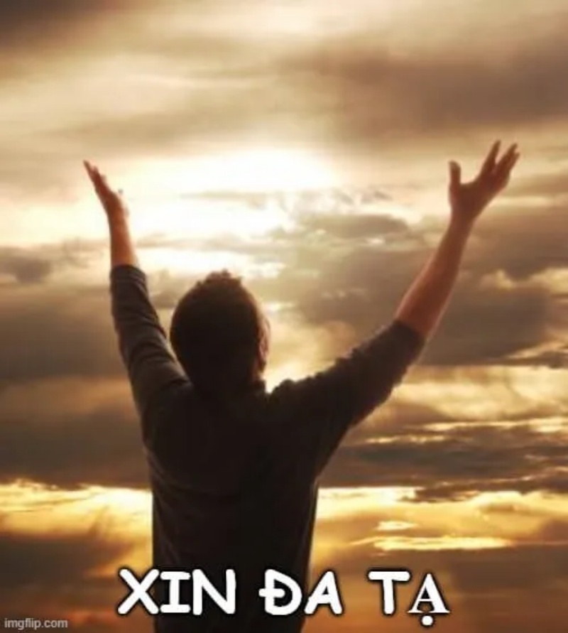 Đa Tạ Meme