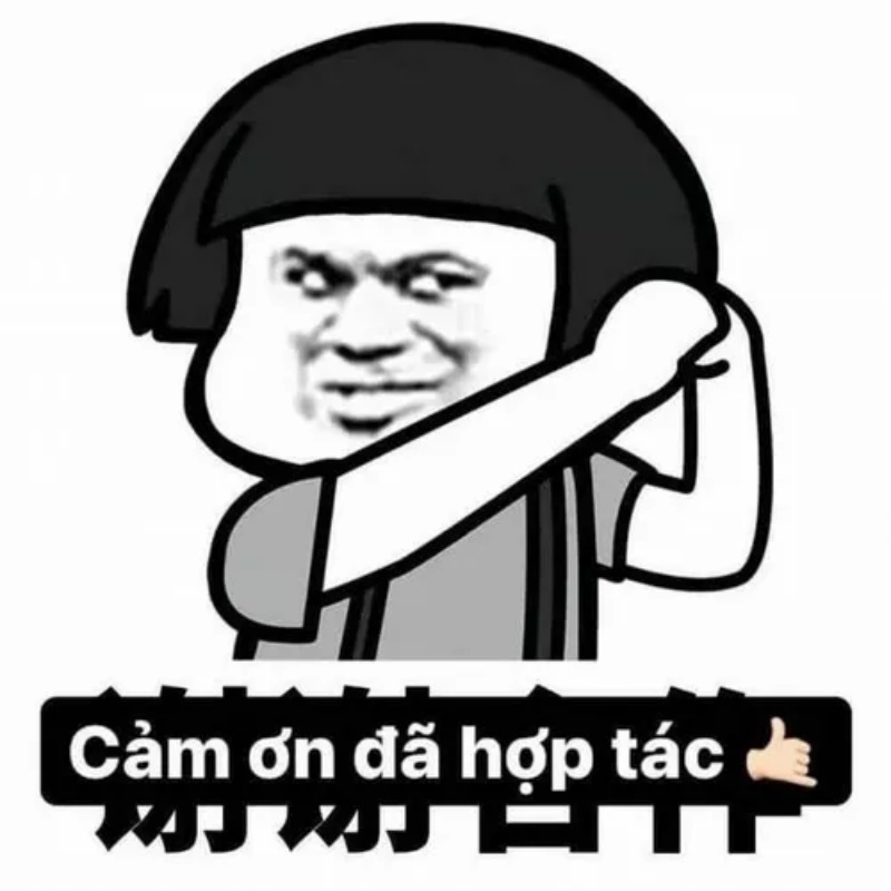 Đa Tạ Meme