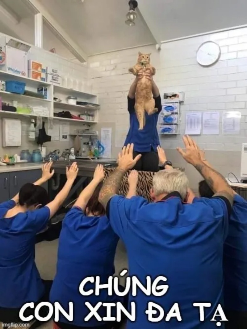 Đa Tạ Meme