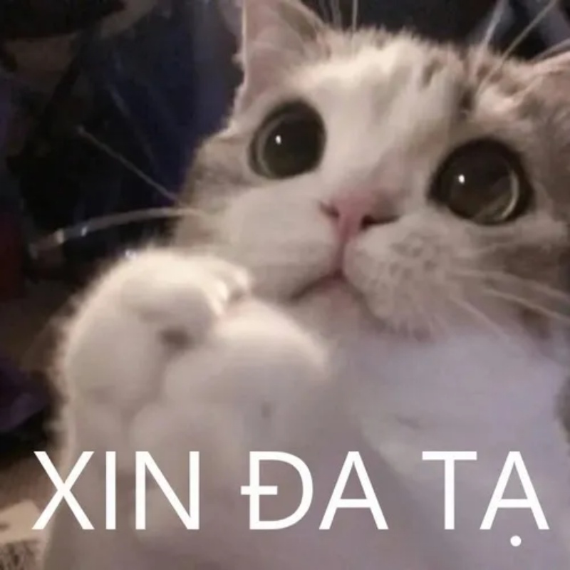 Đa Tạ Meme
