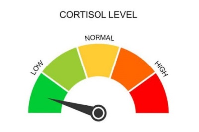 low cortisol meme