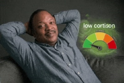 low cortisol meme